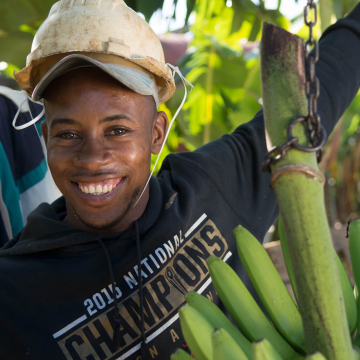 Fairtrade-odling Dominikanska republiken