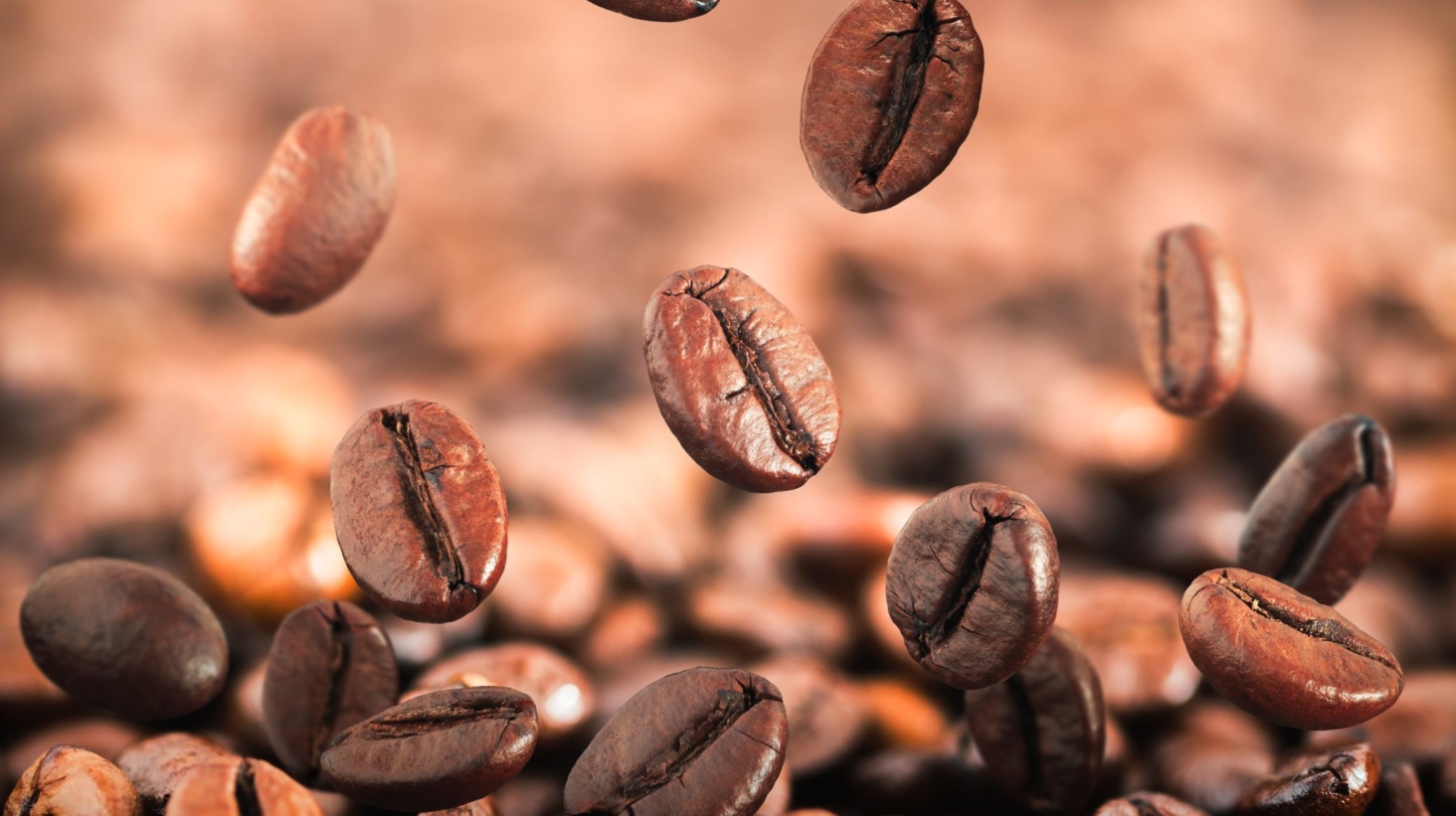 kaffebönor