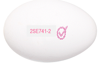 Ägg Ägg